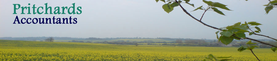 Field
