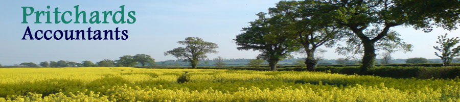 Field