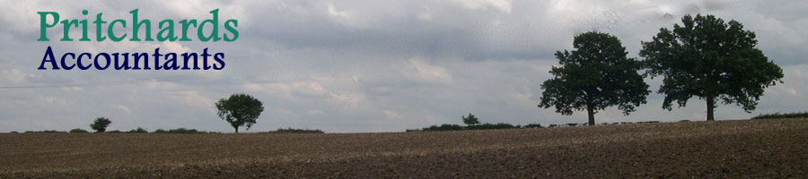 Field