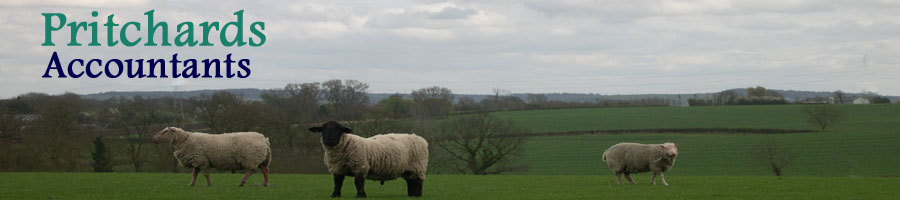 Field