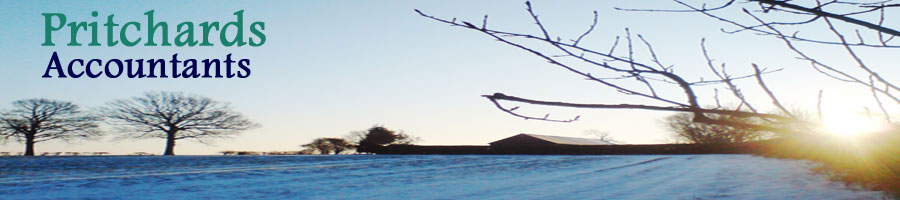 Field