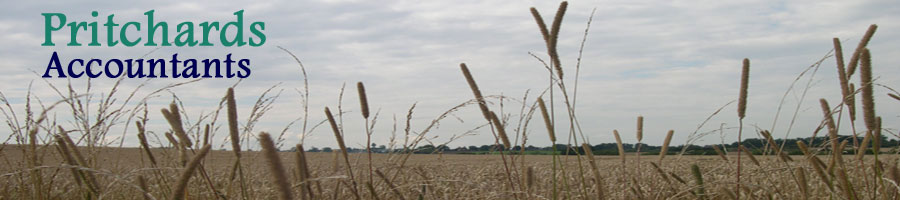 Field